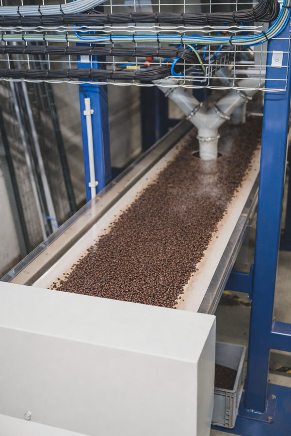 Belt_conveyor_Beans