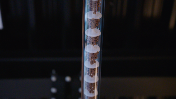 Conveying_screw-conveyor_Delahaut
